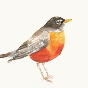 Meet your Posher, Robin